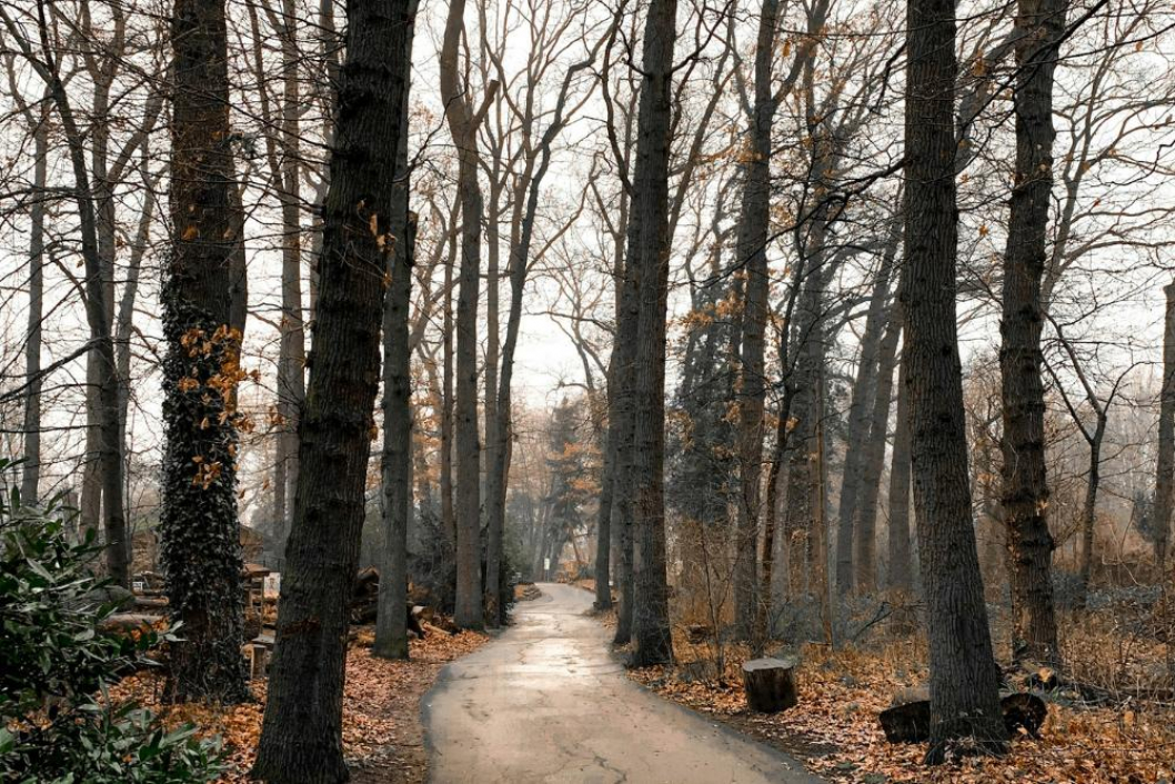 Computer Entsorgung Hamm